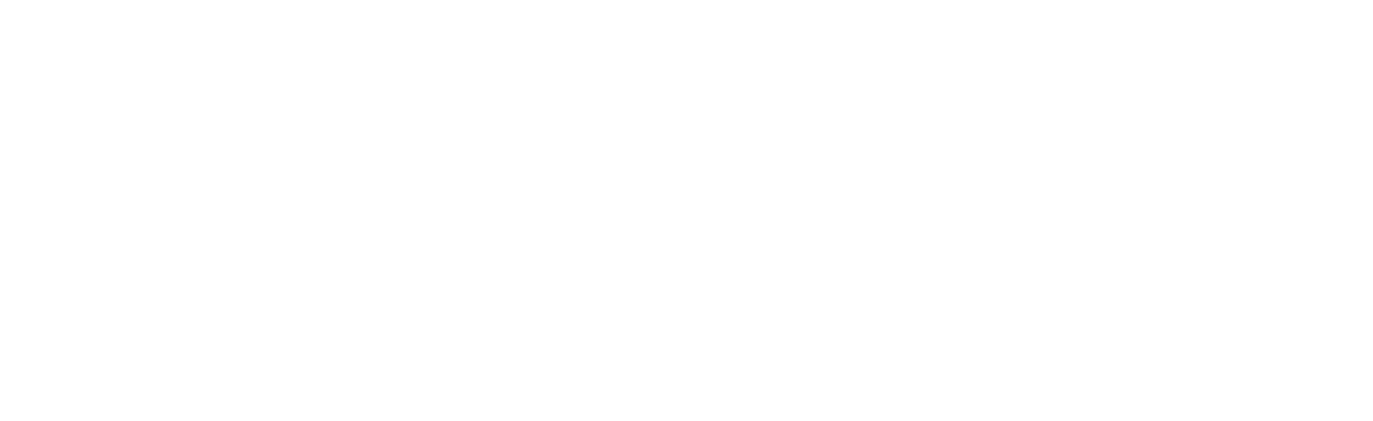 Logo-MBS_Sonel_white